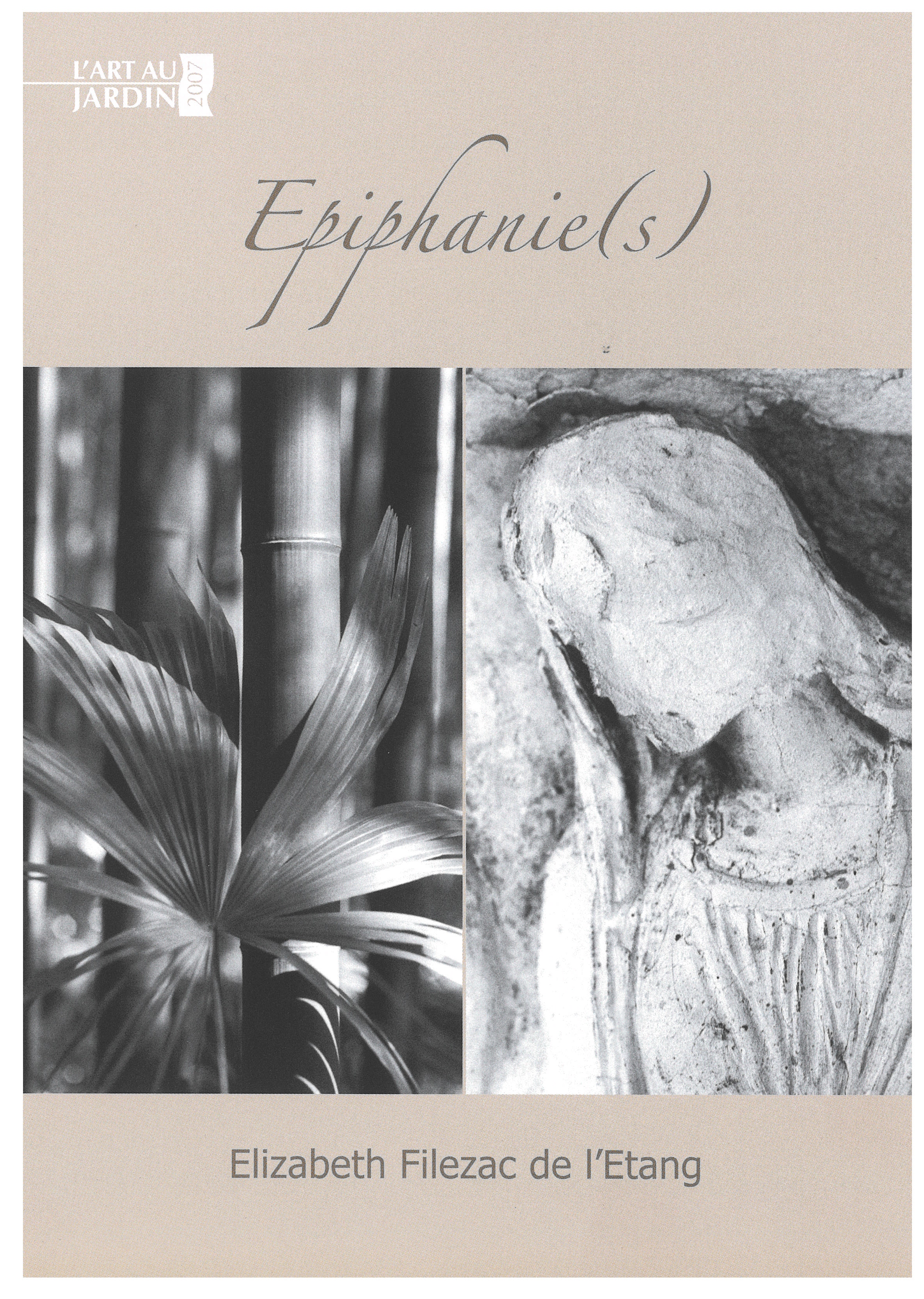 Visuel de l'exposition Epiphanie (s)