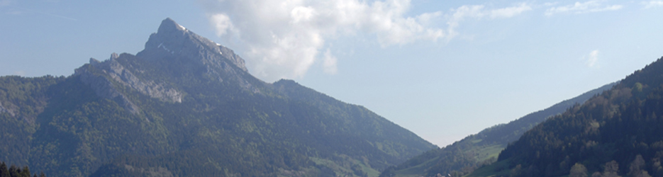 Vue d'ensemble de la Chartreuse