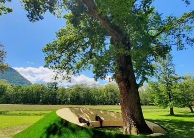 Vignette