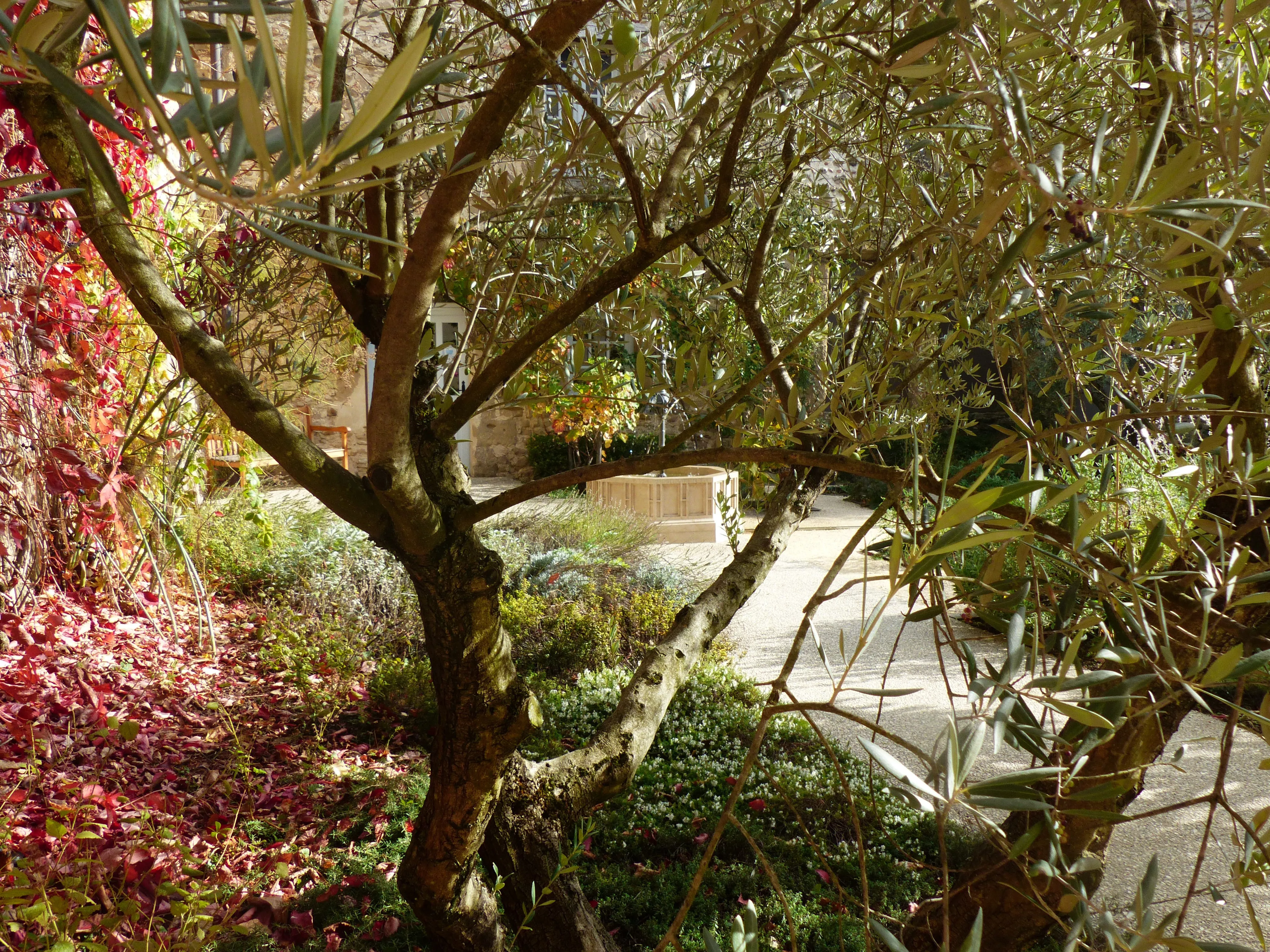 Le jardin médiéval en automne