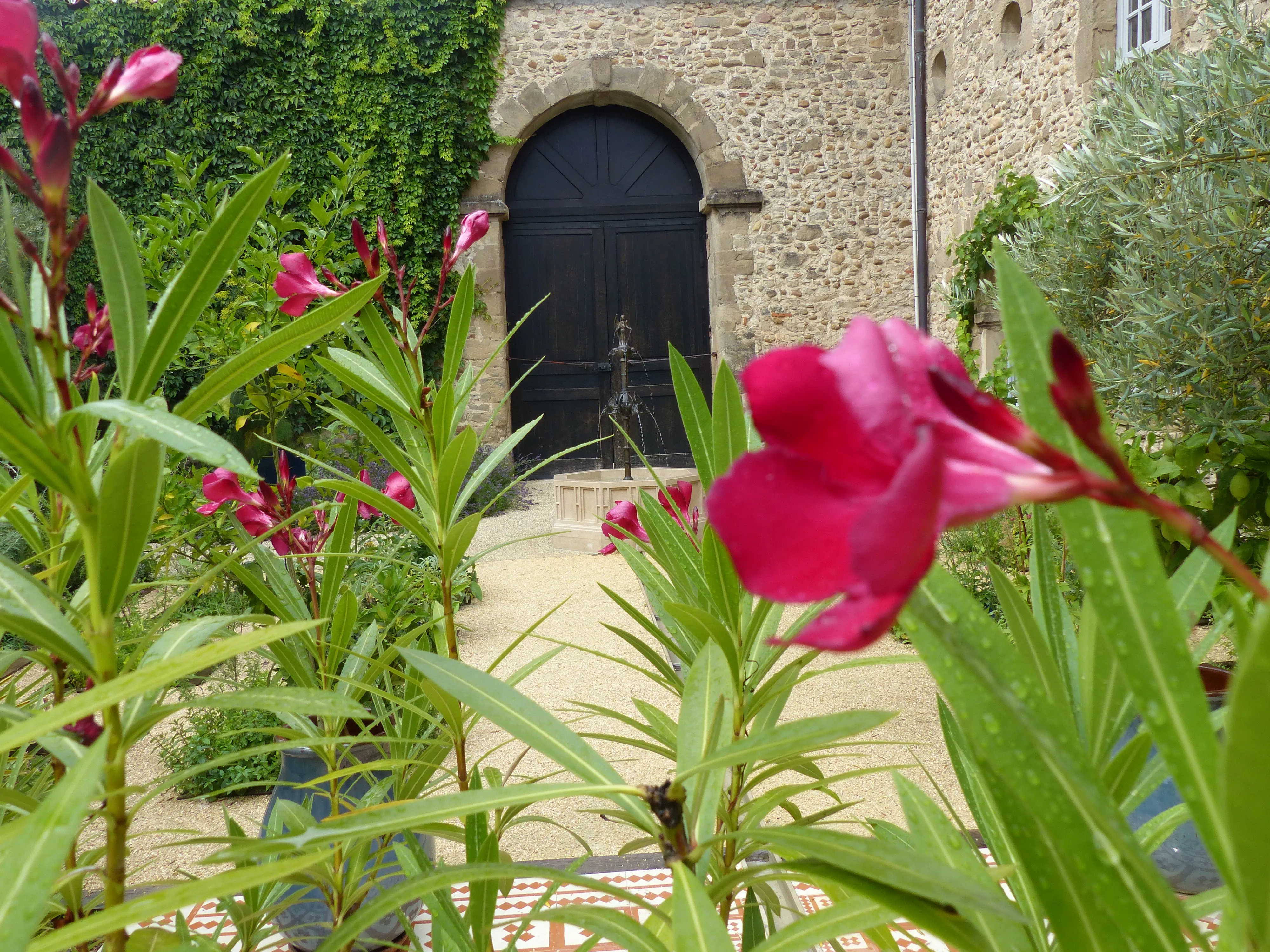 Le jardin médiéval