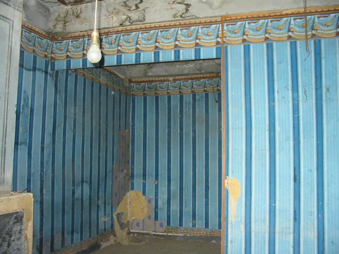 Papier peint, début 19e siècle, maison forte à Saint-Etienne-de-Saint-Geoirs