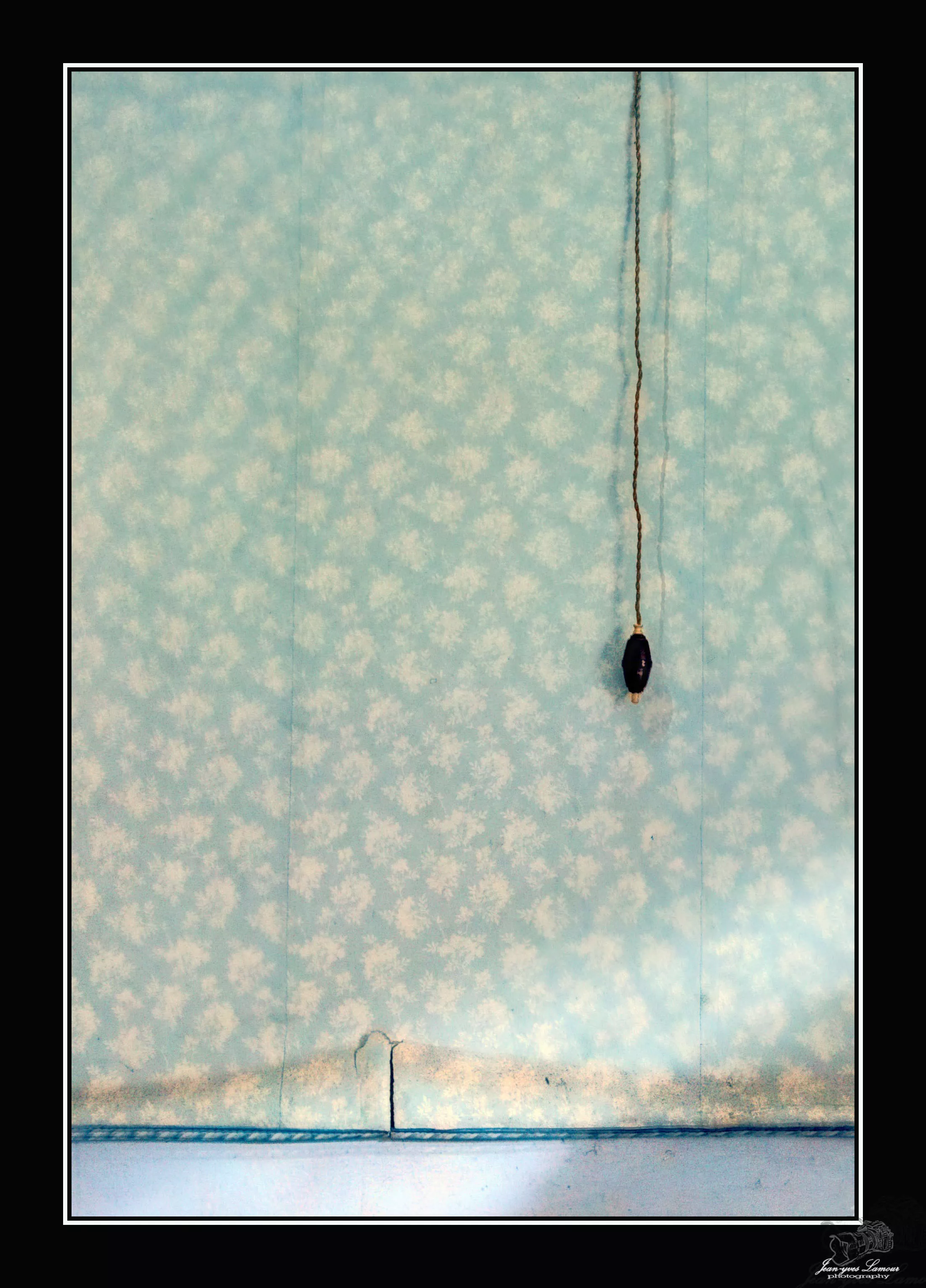 Papier peint à motifs de bouquets de fleurs, château de Tencin