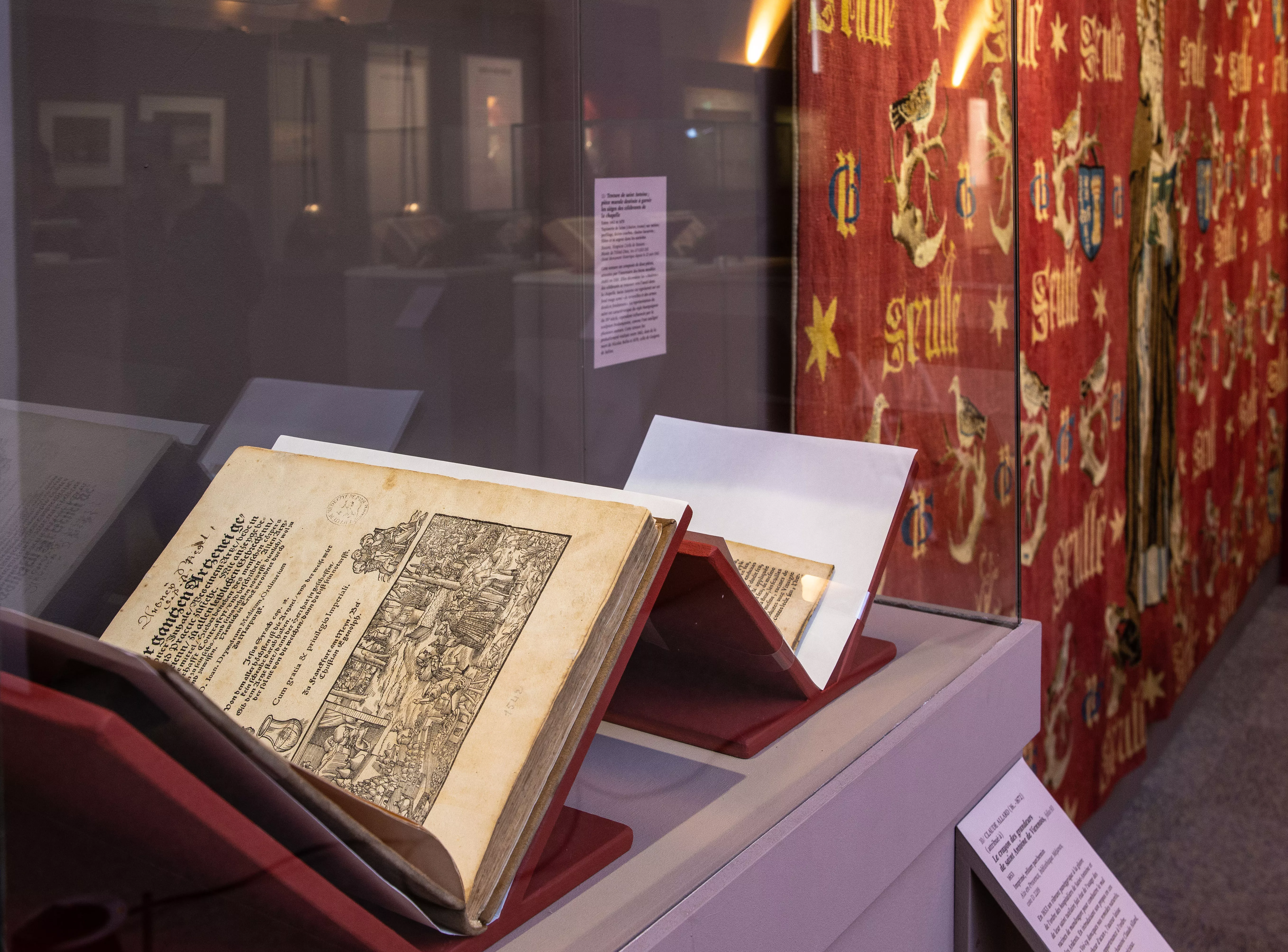 Vue de l'exposition Vous avez dit mandragore? Accueillir et soigner en Occident Vue de l'exposition Vous avez dit mandragore? Accueillir et soigner en Occident