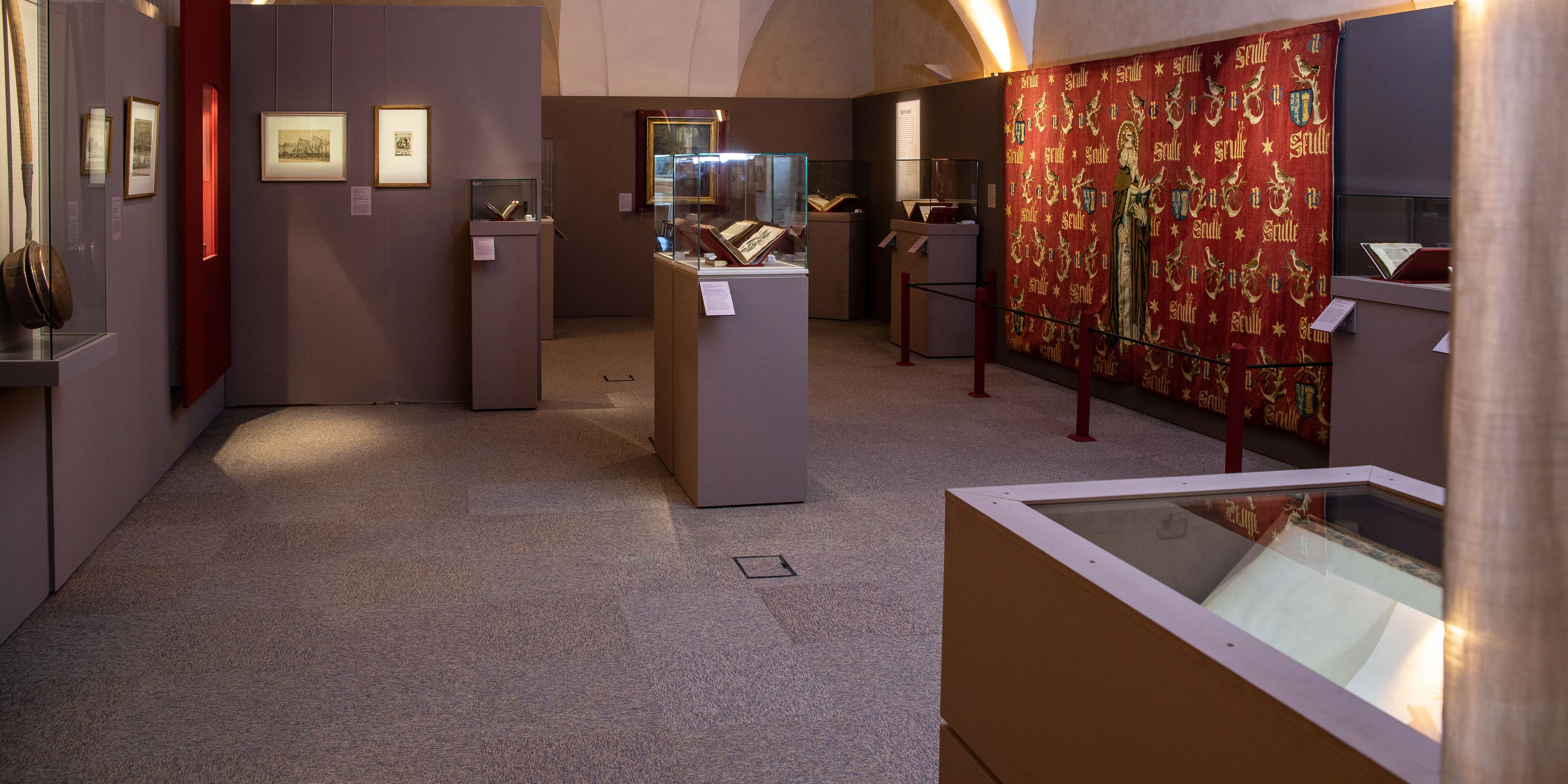 Vue de l'exposition Vous avez dit mandragore? Accueillir et soigner en Occident Vue de l'exposition Vous avez dit mandragore? Accueillir et soigner en Occident