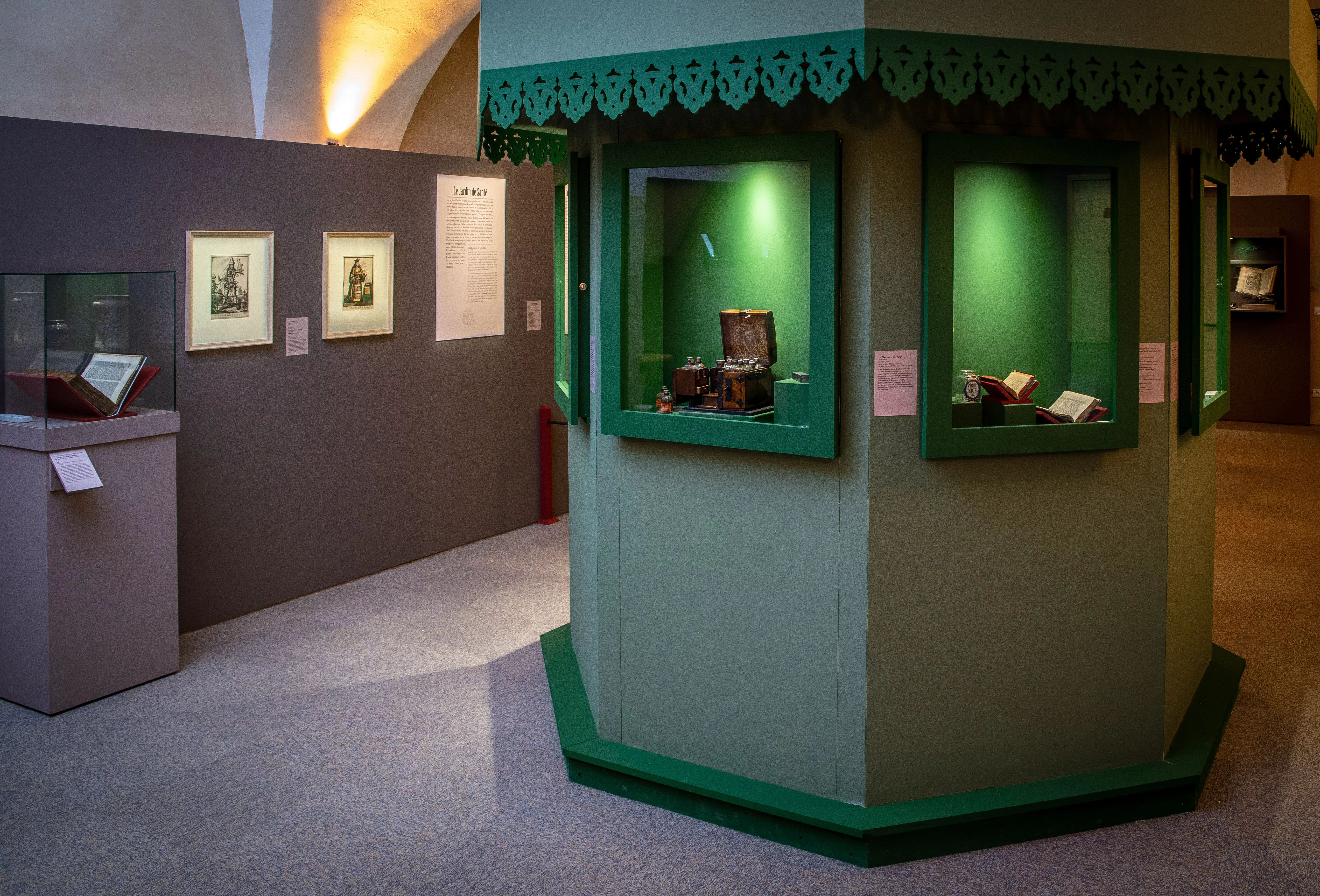 Vue de l'exposition Vous avez dit mandragore? Accueillir et soigner en Occident Vue de l'exposition Vous avez dit mandragore? Accueillir et soigner en Occident