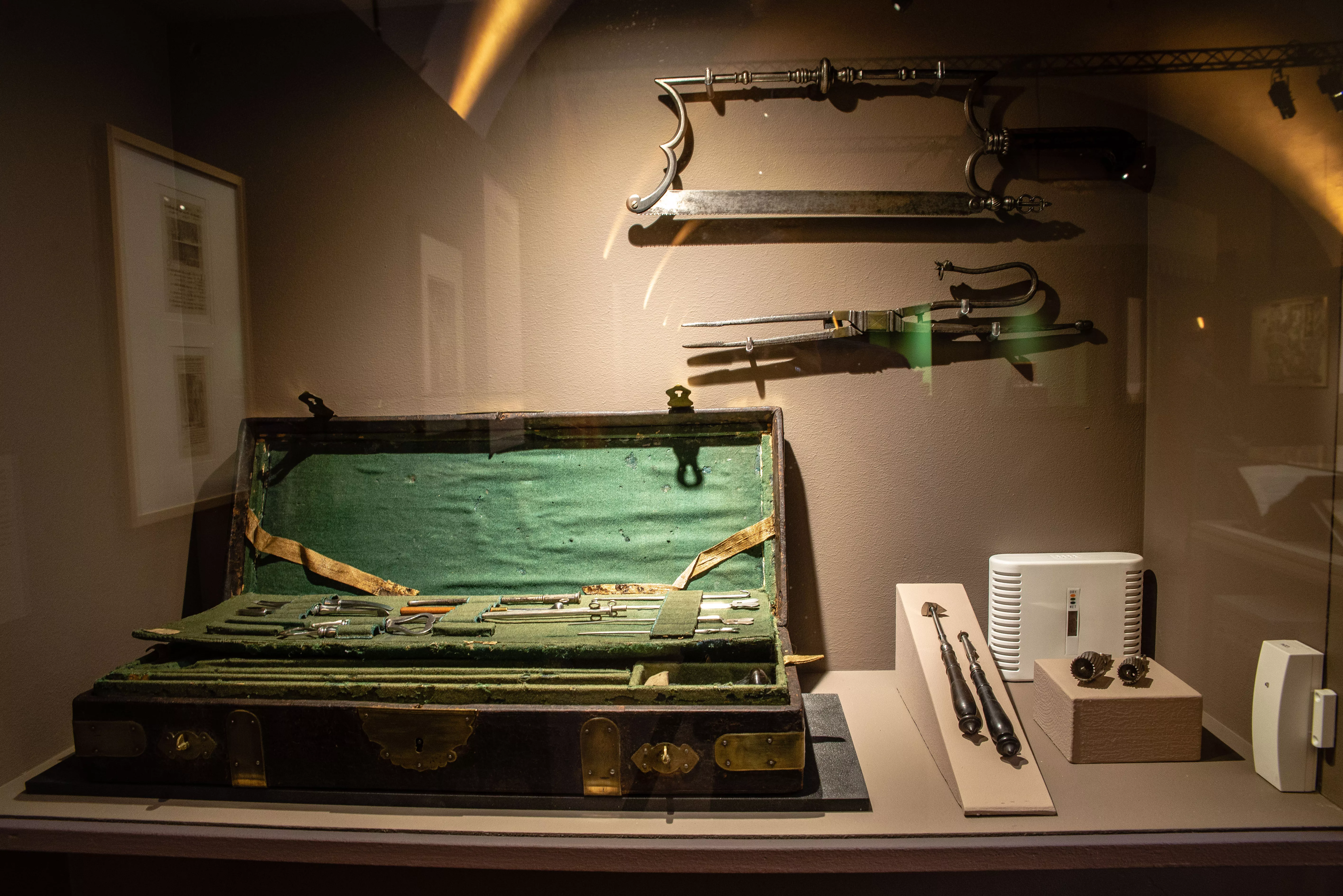 Vue de l'exposition Vous avez dit mandragore? Accueillir et soigner en Occident Vue de l'exposition Vous avez dit mandragore? Accueillir et soigner en Occident