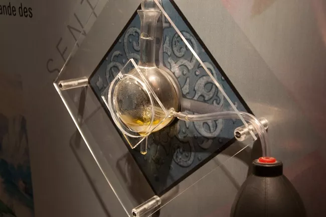 Vue de l'exposition Jardins des cloîtres, jardins de princes. Quand la parfum portait remède Vue de l'exposition Jardins des cloîtres, jardins de princes. Quand la parfum portait remède