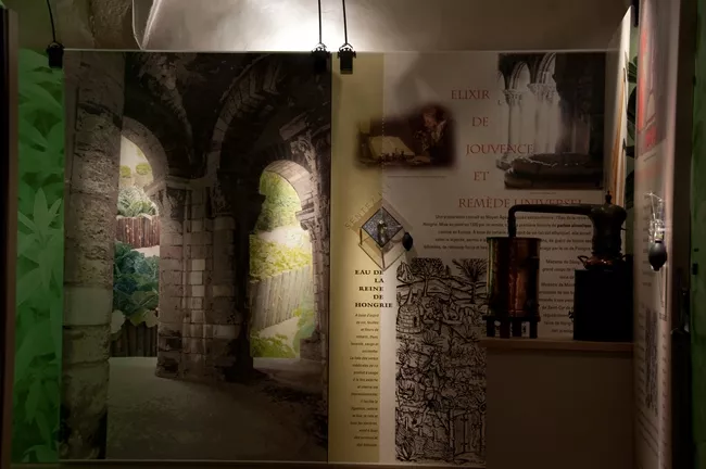 Vue de l'exposition Jardins des cloîtres, jardins de princes. Quand la parfum portait remède Vue de l'exposition Jardins des cloîtres, jardins de princes. Quand la parfum portait remèdeVue de l'exposition Jardins des cloîtres, jardins de princes. Quand la parfum portait remède