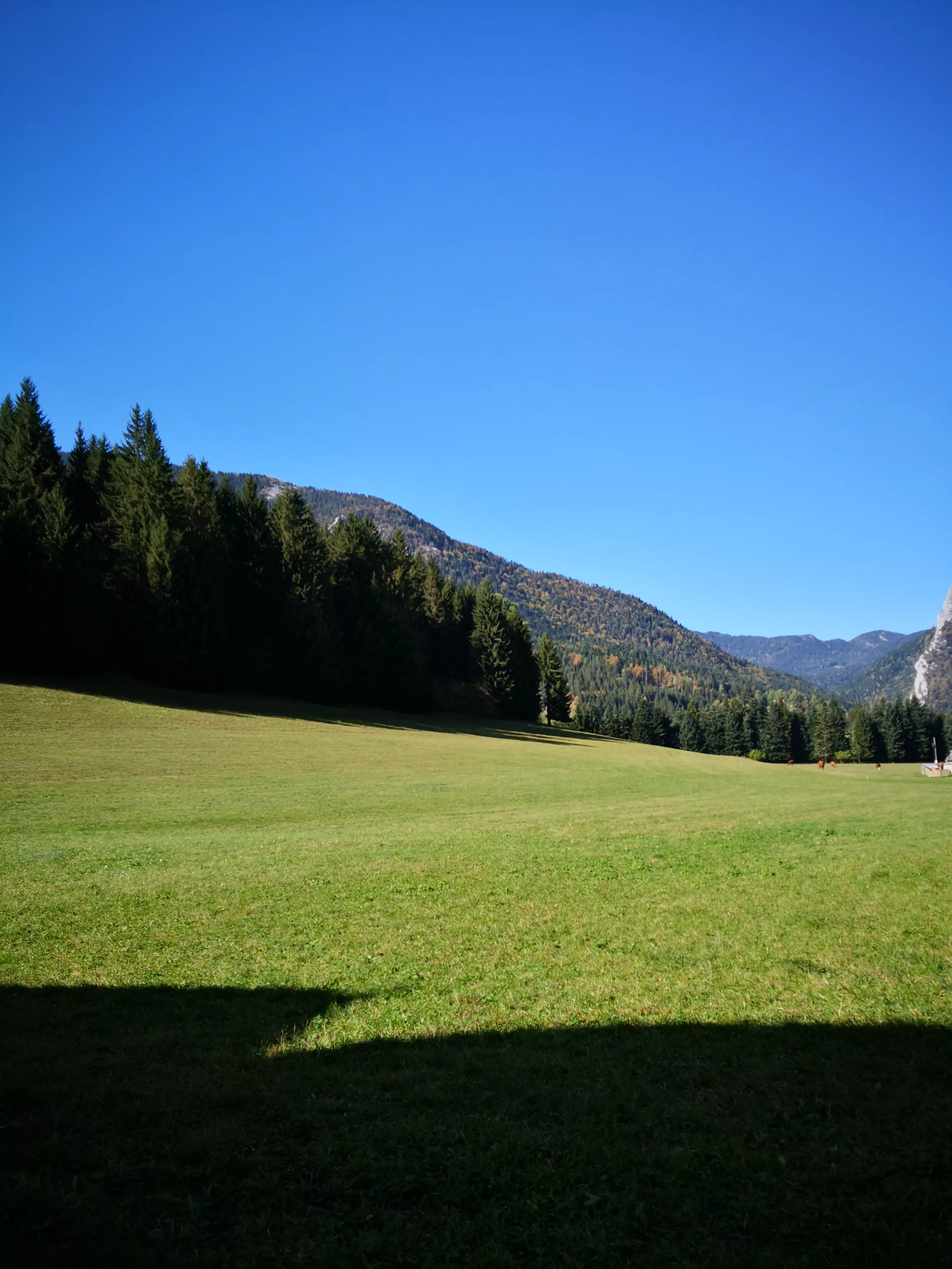Paysage autour du musée Paysage autour du musée