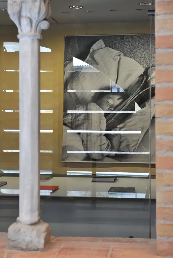 Exposition LES ALPES DE DOISNEAU