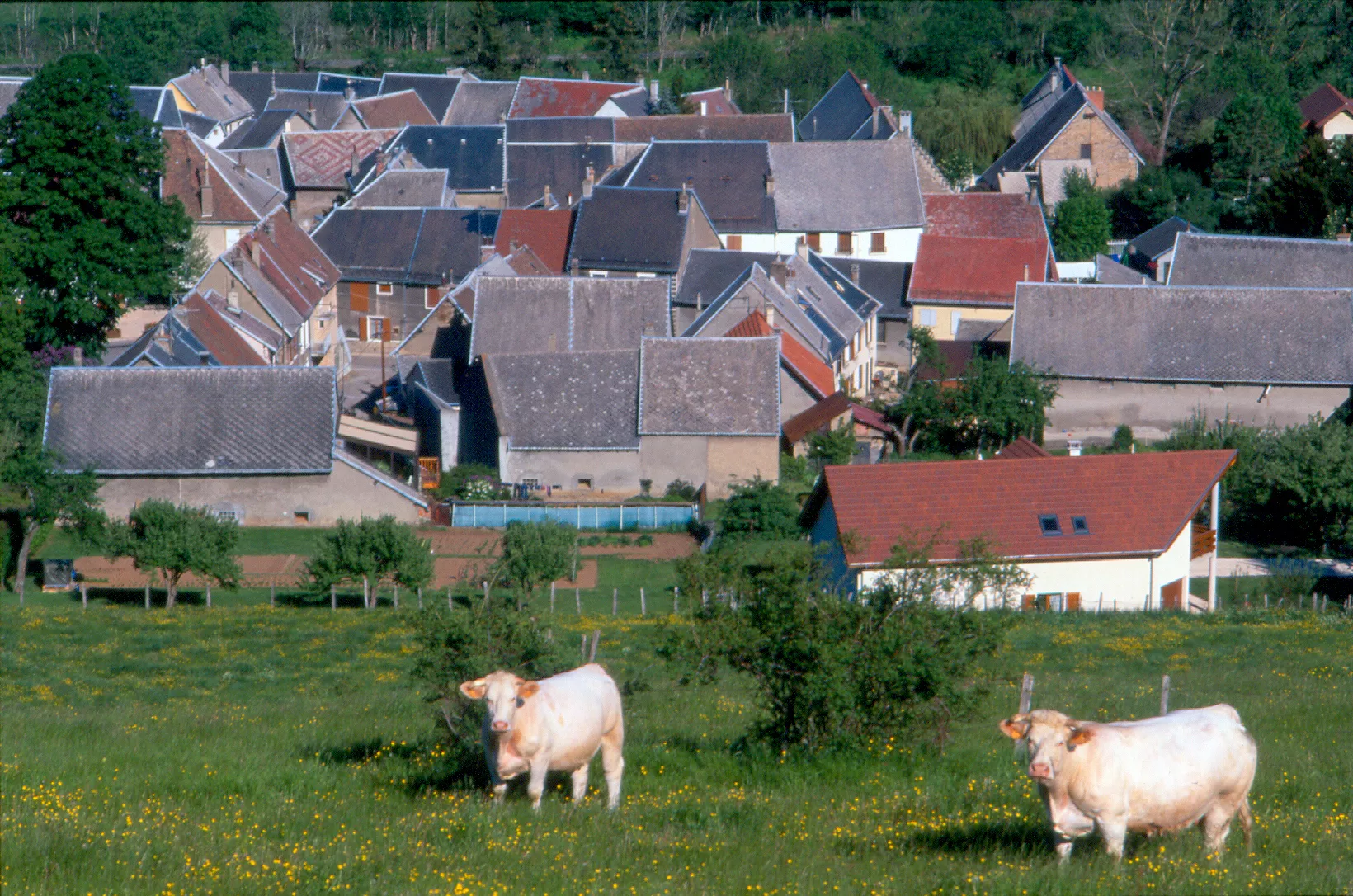 Exposition INVENTAIRE(S)