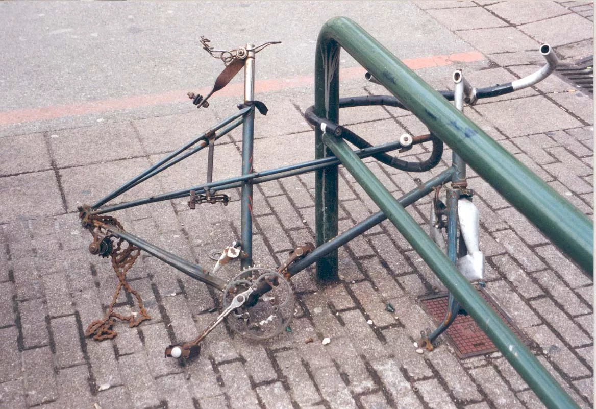 Exposition Carcasses