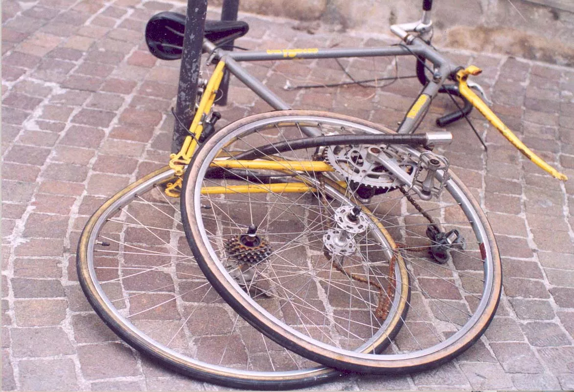 Exposition Carcasses