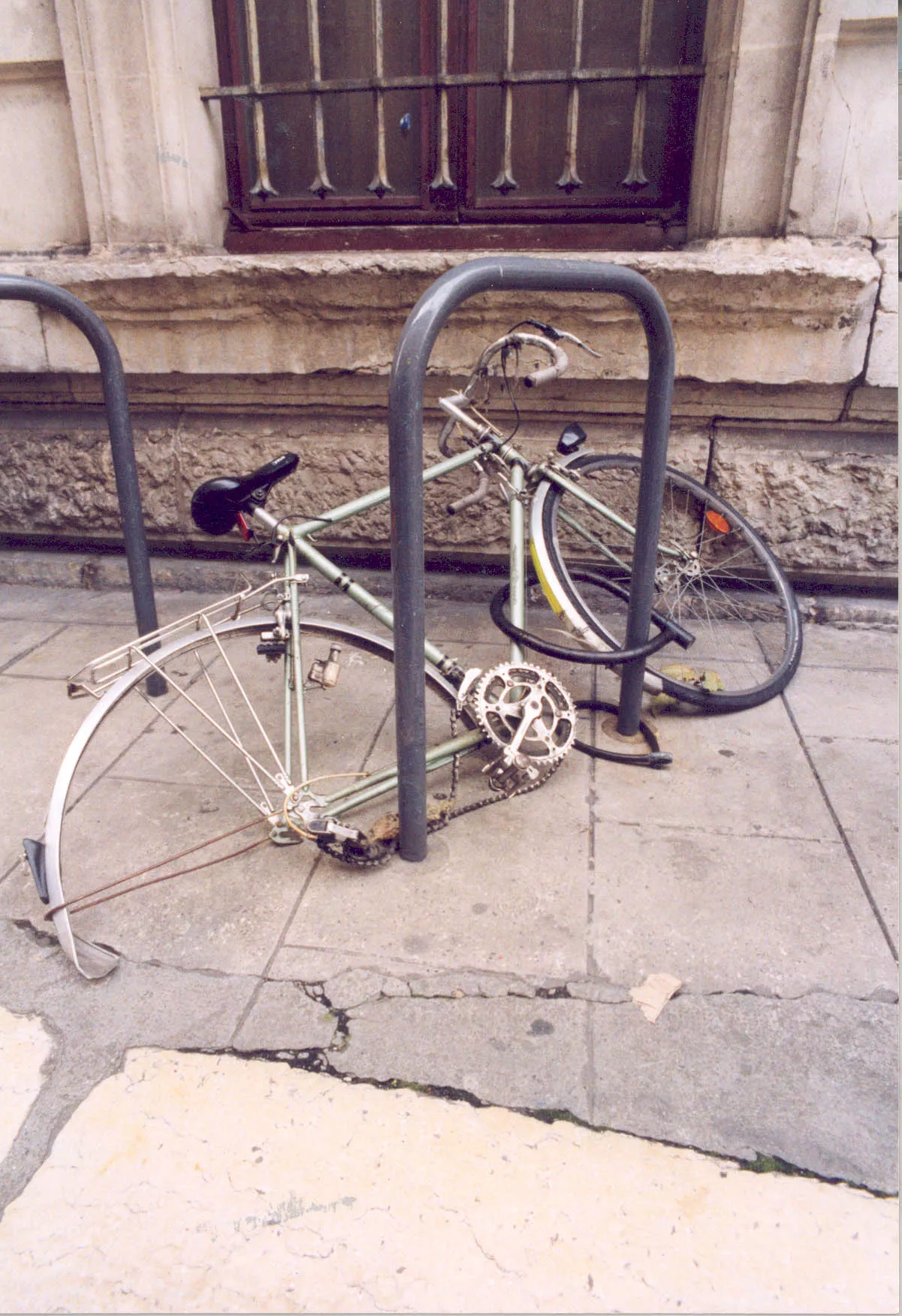 Exposition Carcasses