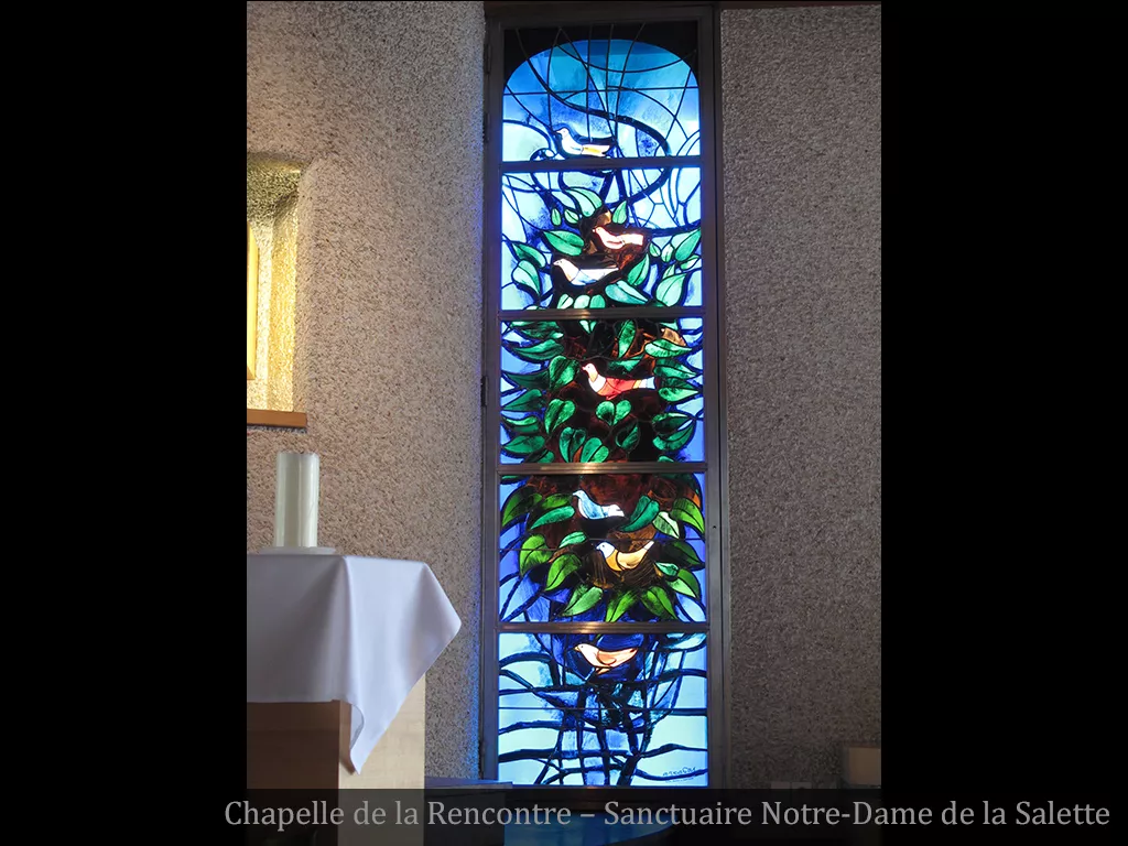 Oiseaux dans des buissons