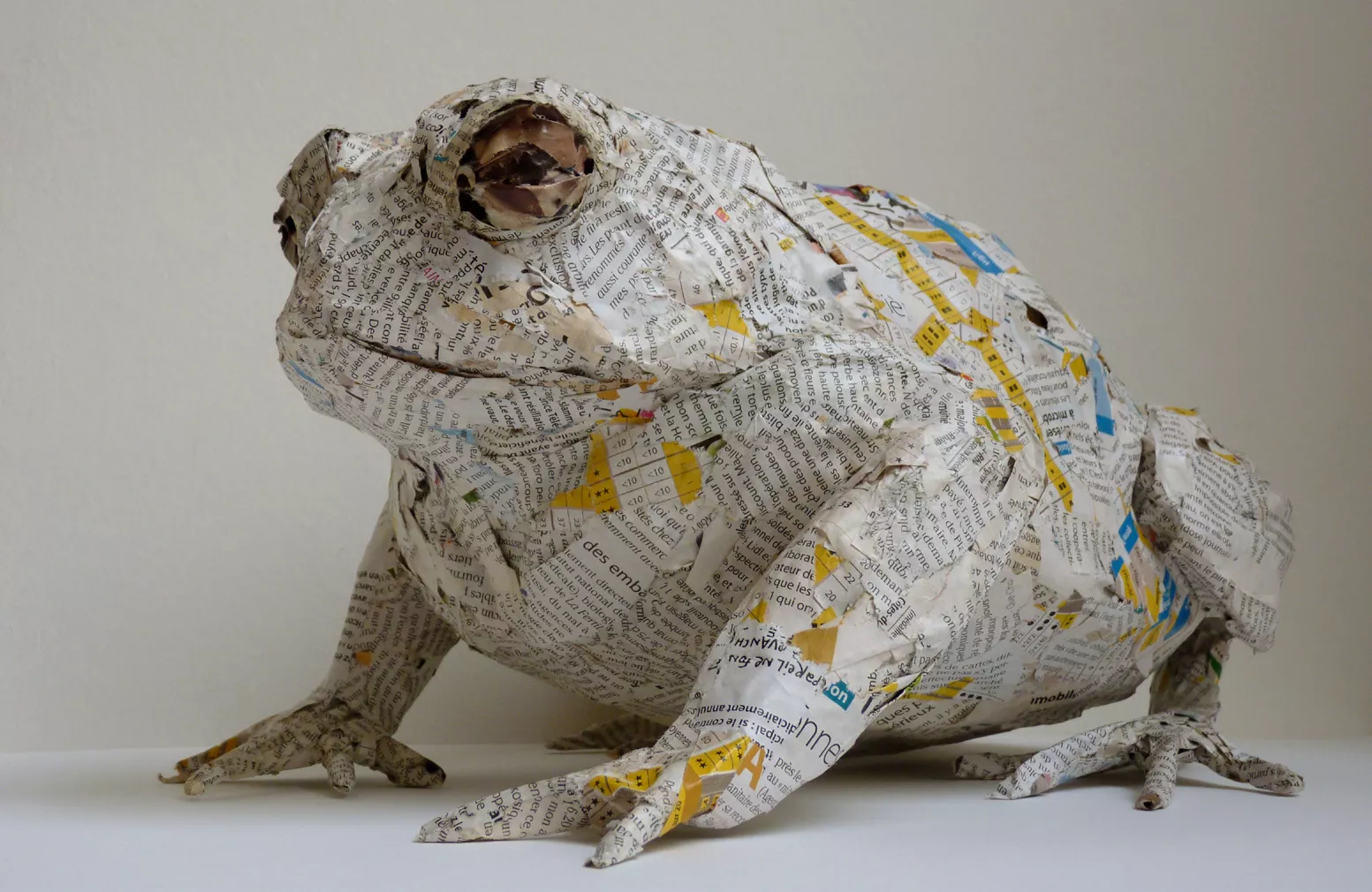 Le crapaud