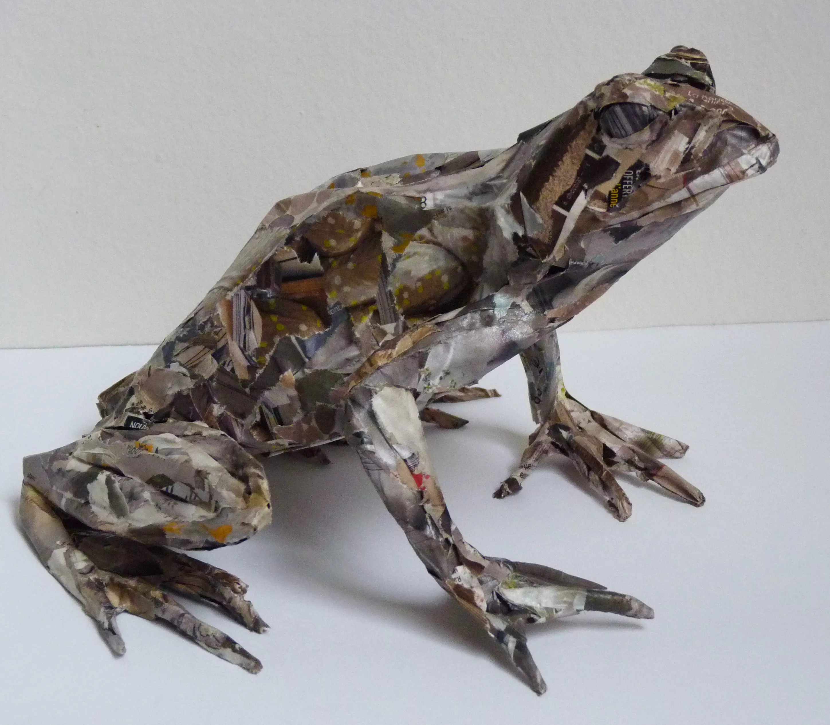 La grenouille