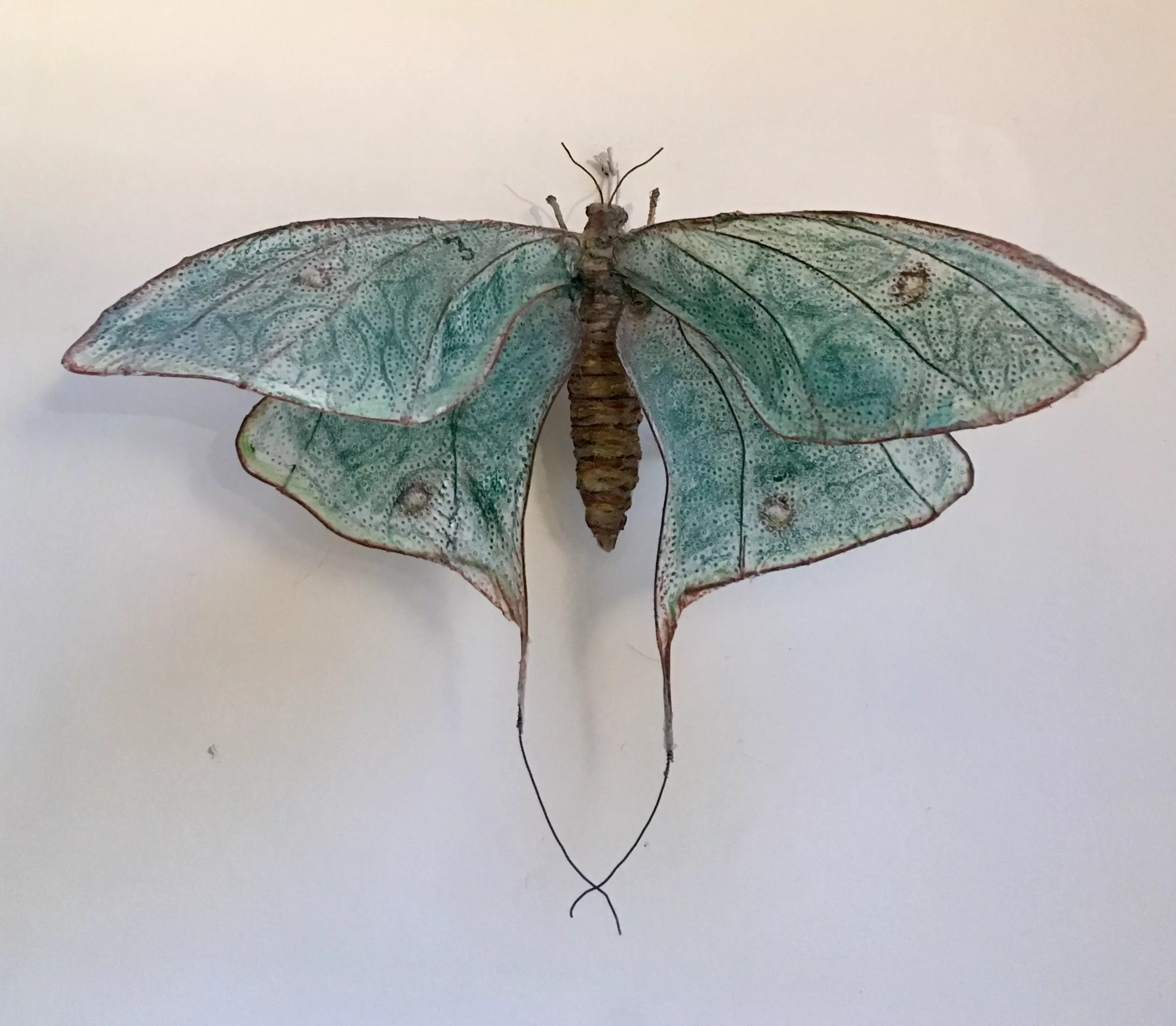 Le papillon, Isabelle de France