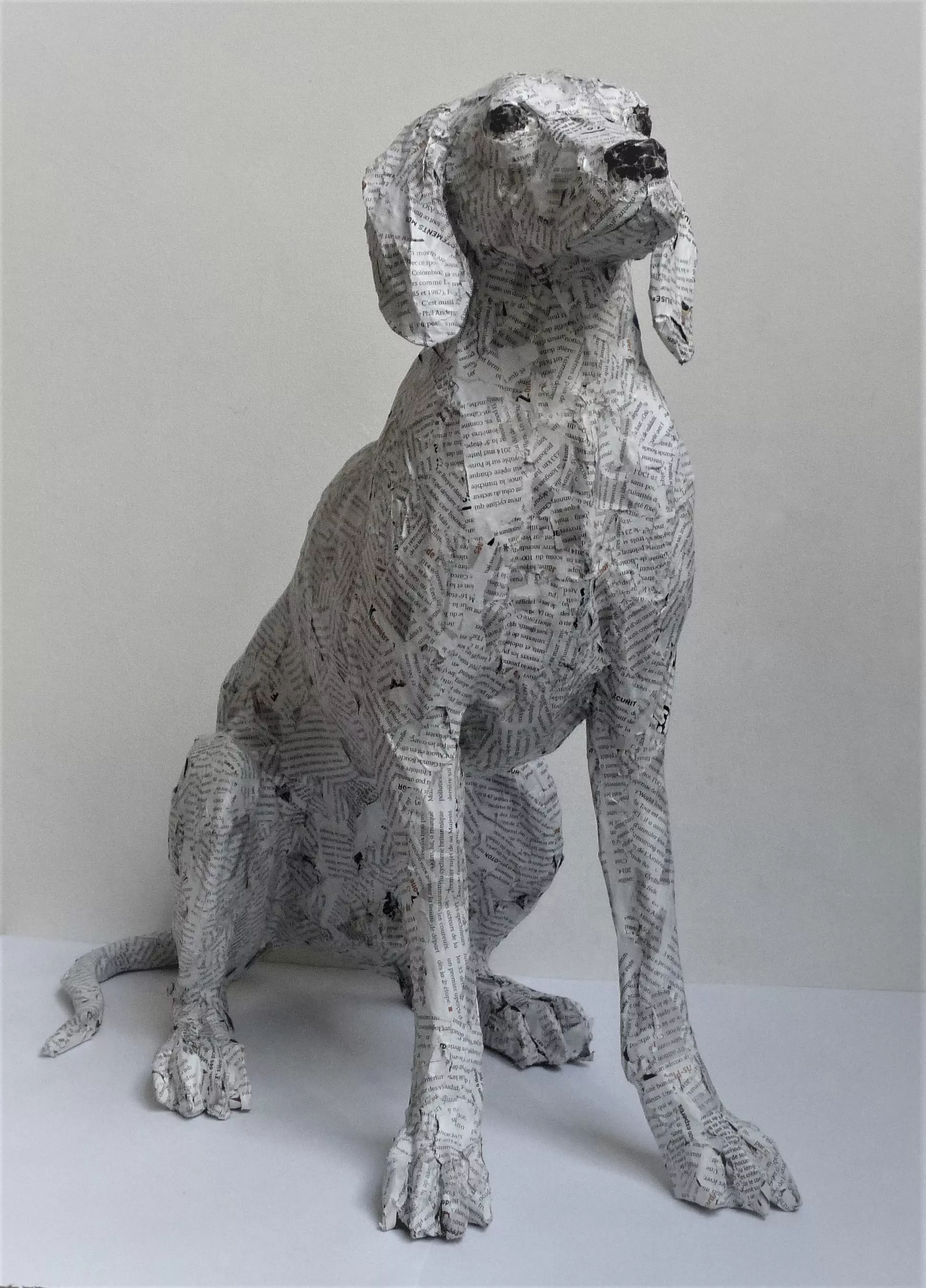 Le chien Tristan