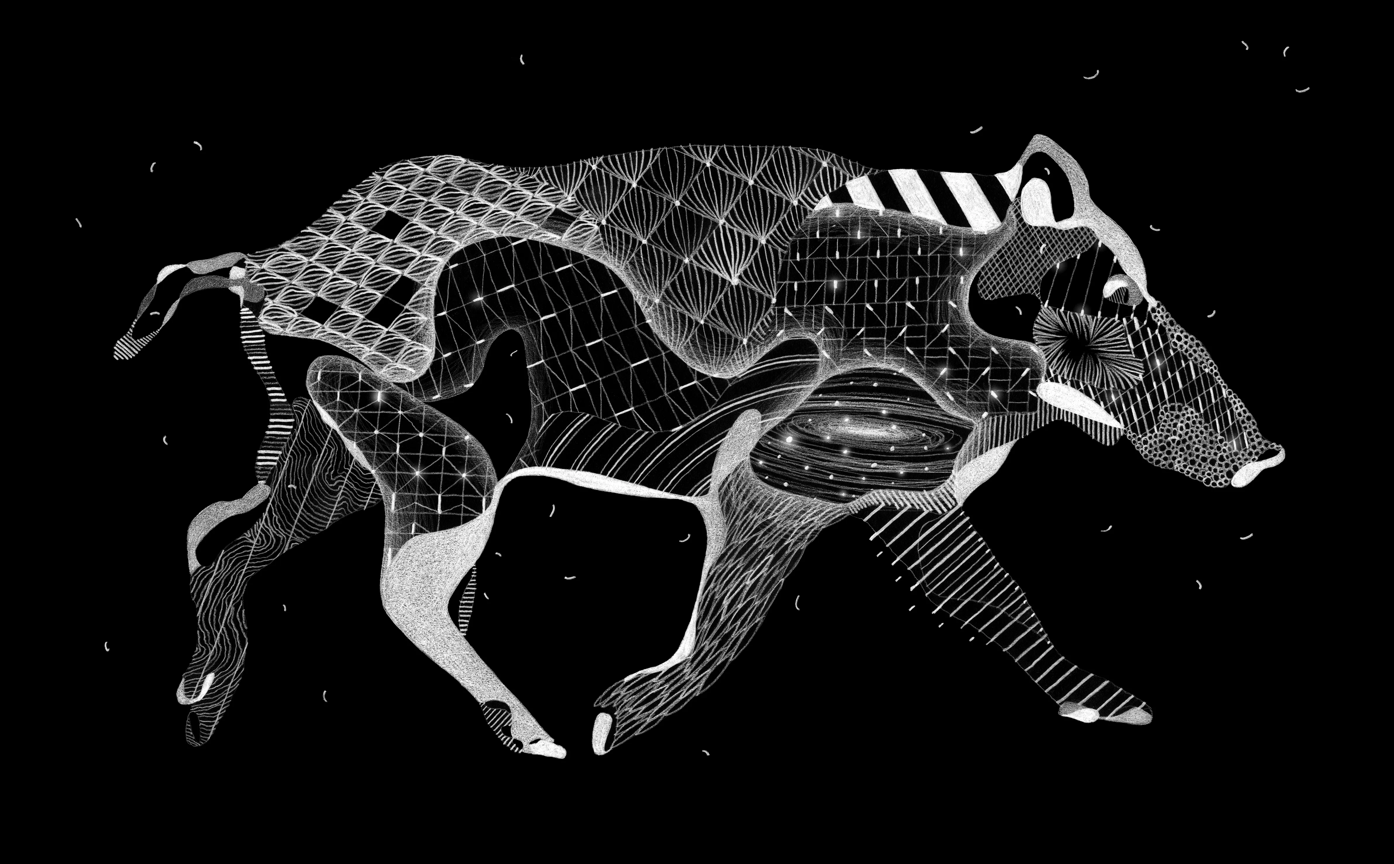 Le sanglier © Philippe Baudelocque