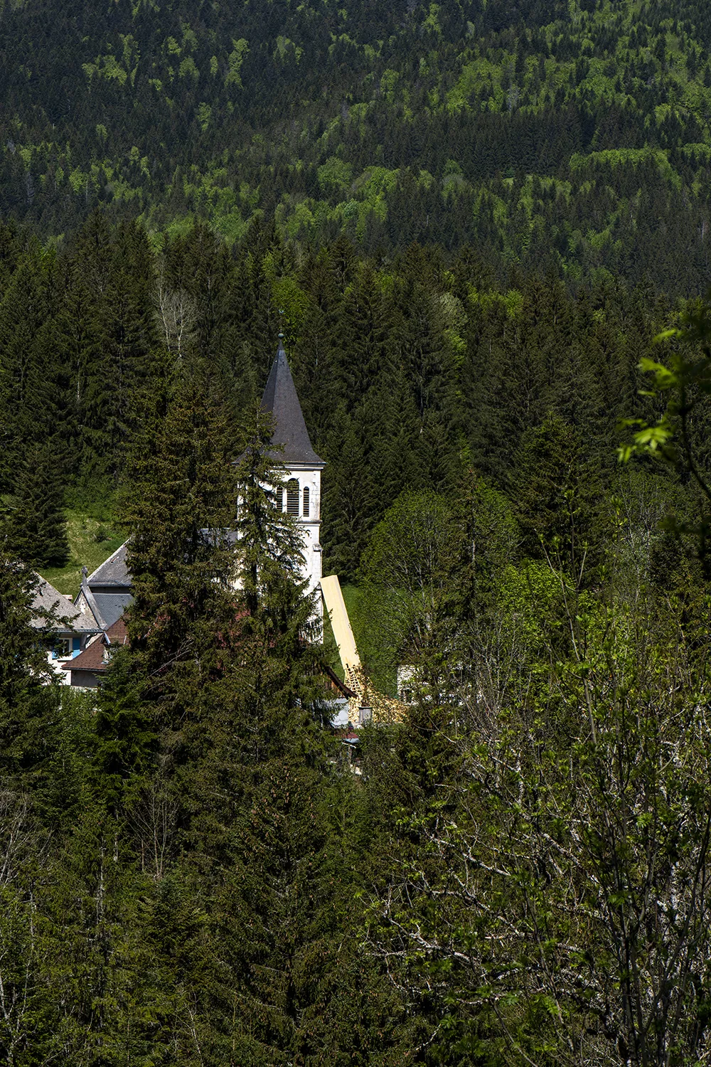 Vue éloignée du musée : la forêt, le musée, et l'oeuvre de Simon Augade &quot;Fondement(s)&quot;