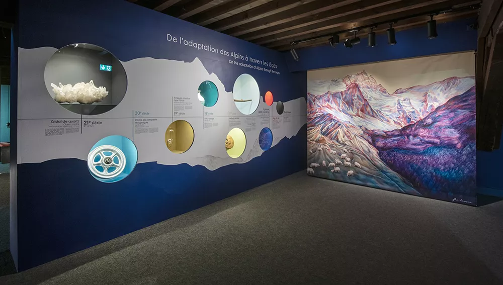 Photographie d'une salle de l'exposition &quot;Alpins&quot; présentant des objets témoignant de l'adaptation des Alpins à travers les âges