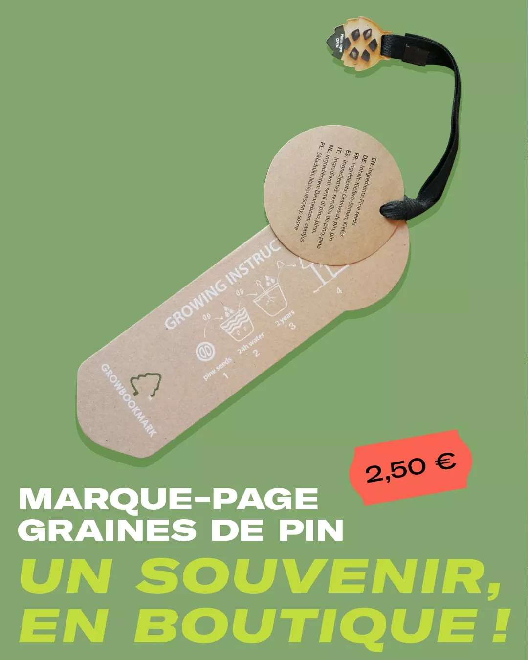 Marque-page graine de pin
