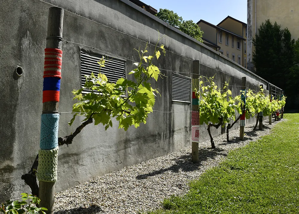 Tricotons le musée et le quartier Très-Cloîtres | Jardin du musée © Denis Vinçon
