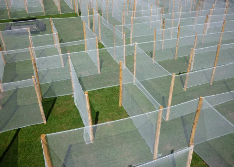 Vue en couleurs de l'Installation Invitation au labyrinthe, chemins voilés dans le parc du Domaine de Vizille © ©Domaine de Vizille/Département de l'Isère