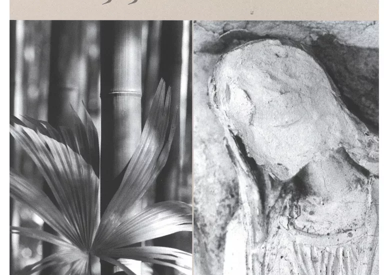 Visuel de l'exposition Epiphanie(s)