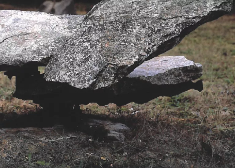 Sculptures. François Weil