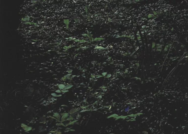 Photographies. Eric Hurtado