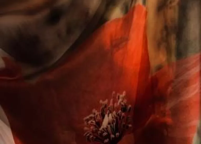 Détail costume  - Un rameau sotira - Hallet Eghayan © © Simon Cavalier