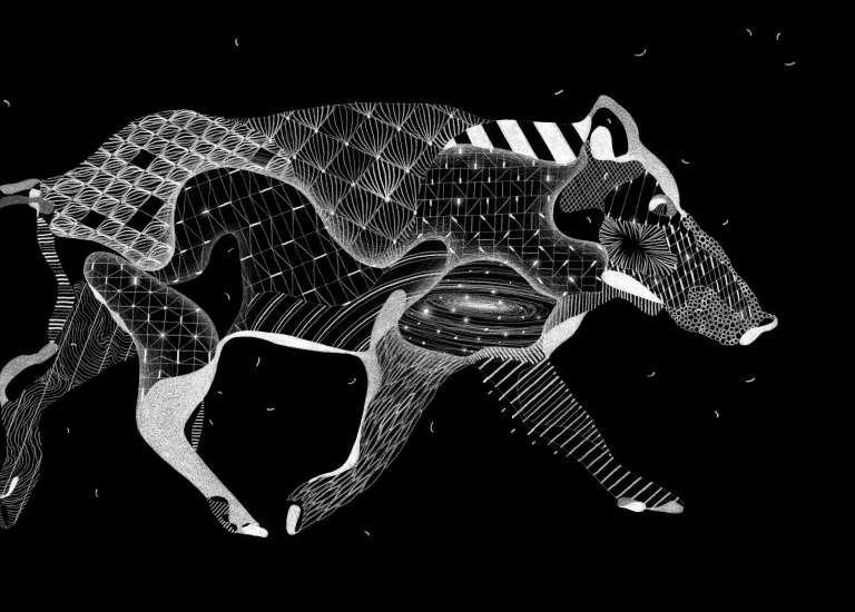 "Le sanglier" par Philippe Baudelocque © Philippe Baudelocque