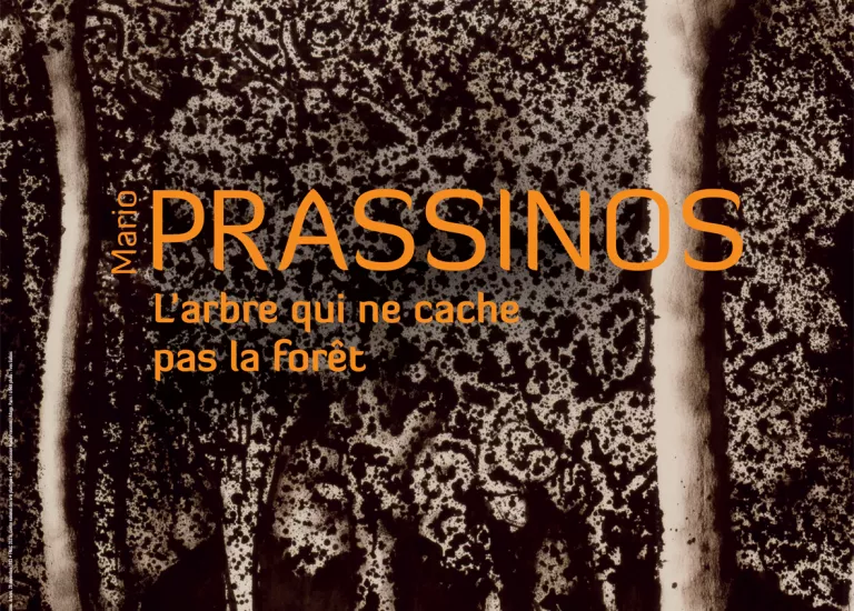 Affiche prolongation Prassinos