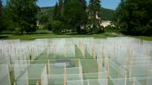 Vue en couleurs de l'Installation Invitation au labyrinthe, chemins voilés dans le parc du Domaine de Vizille © ©Domaine de Vizille/Département de l'Isère