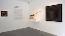 Exposition Collection partagée, 2016