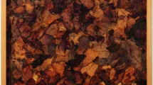 P.Dereux, Pêches d’octobre, 1987