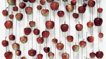 M.Deyres, Les pommes rouges, 2007