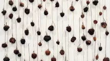 M.Deyres, Pommes desséchées, 2007