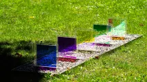 D.Schlaepfer, Le petit jardin de lumière