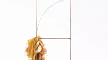 J.Negri, Fibule, 2013