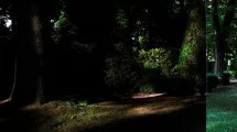 E.Hurtado, Exposition Le point aveugle, 2009