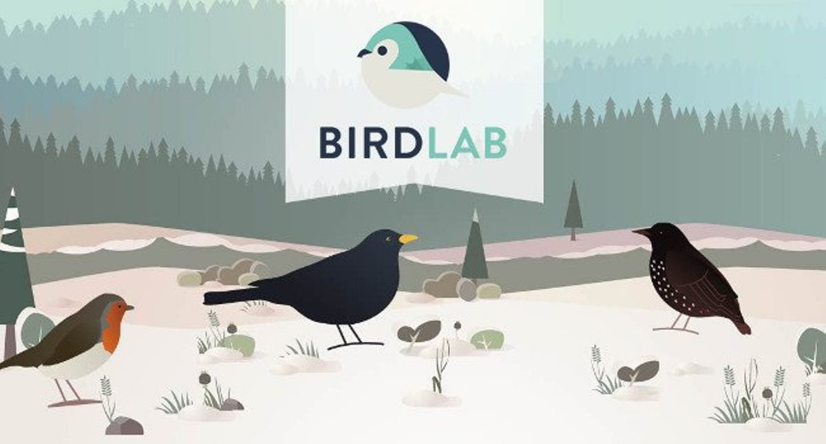 Bird Lab © LPO Bird Lab © LPO