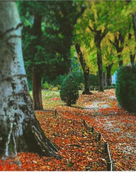 l'automne au musée hébert L'automne au musée hébert © Nathalie Mareste