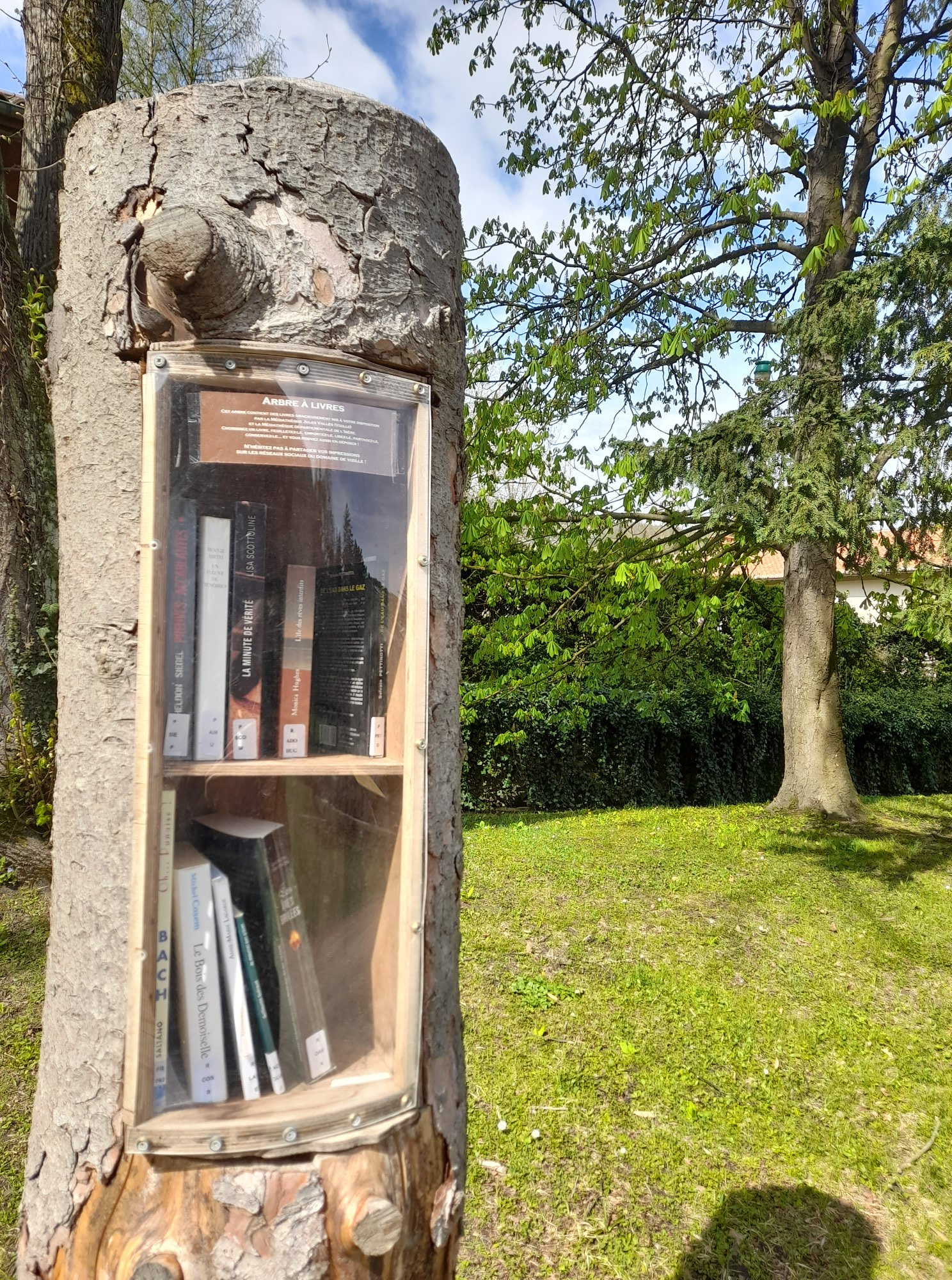 Arbre à livres © Domaine de Vizille | Département de l'Isère Arbre à livres © Domaine de Vizille | Département de l'Isère