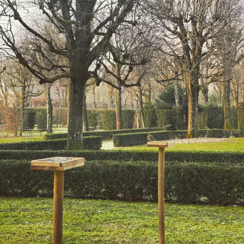 Les oiseaux à la mangeoire, musée Hébert © Nathalie Marest Les oiseaux à la mangeoire © Nathalie Marest