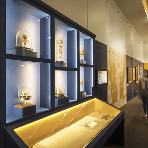 Histoire de savoir(s). L'Université Grenoble Alpes (1339-2021) - salle 1 © Denis Vinçon