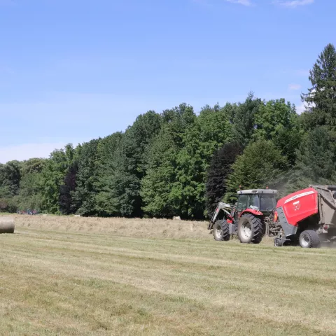 La moisson estivale du domaine 2021 © Domaine de Vizille - Musée de la Révolution française